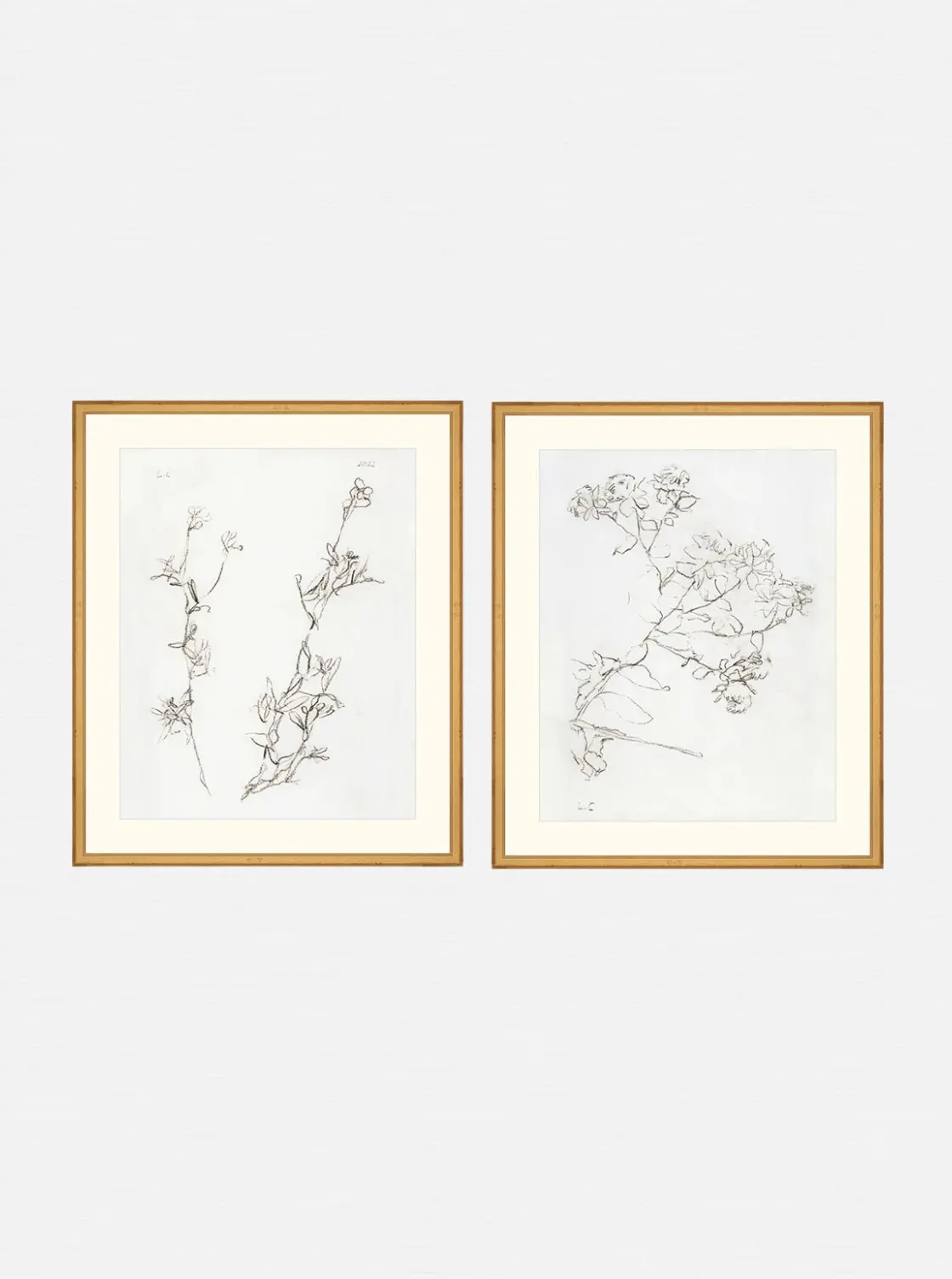 Botanical Study Duo Art Bundle 1