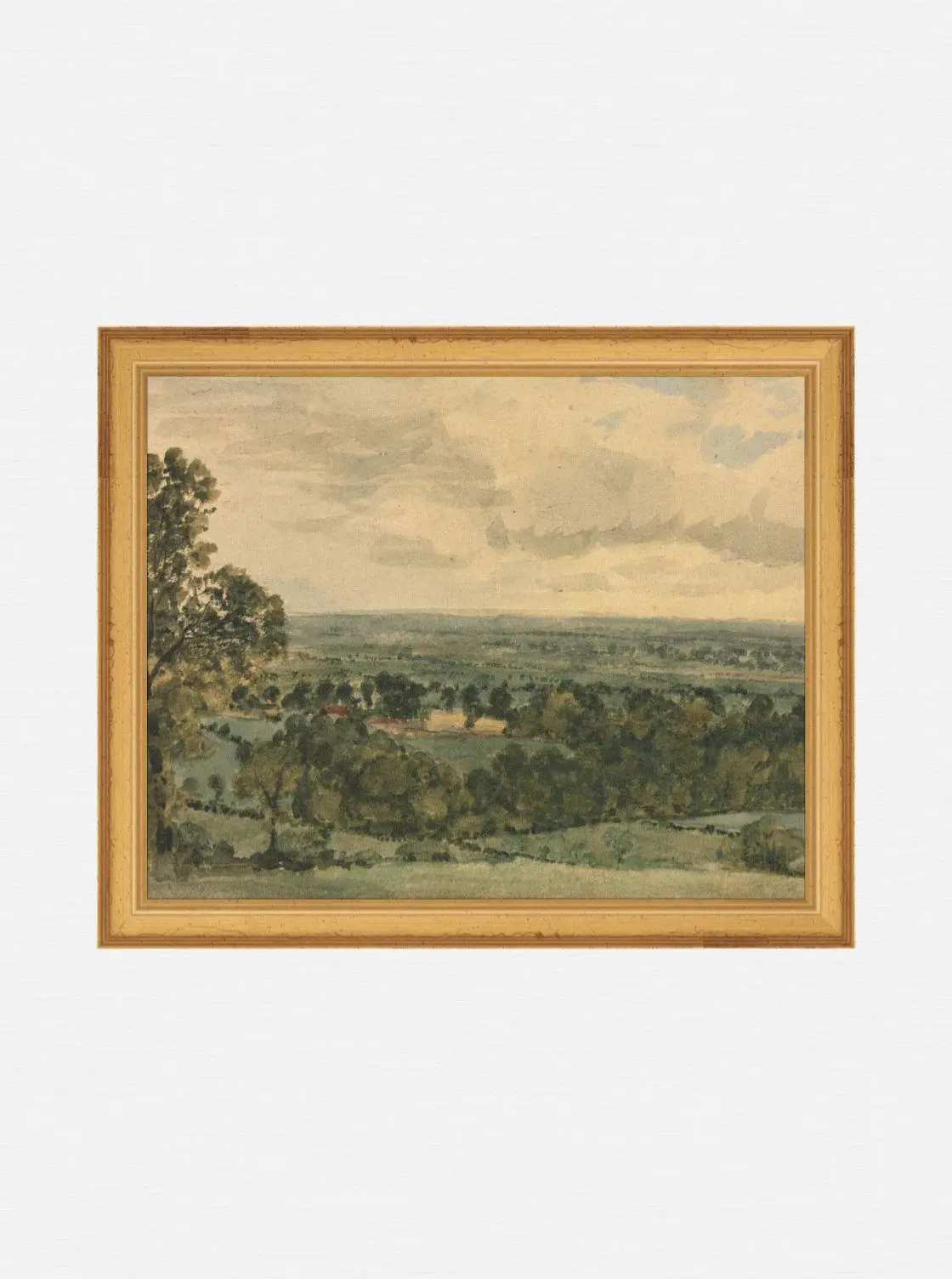 Bright Countryside 1