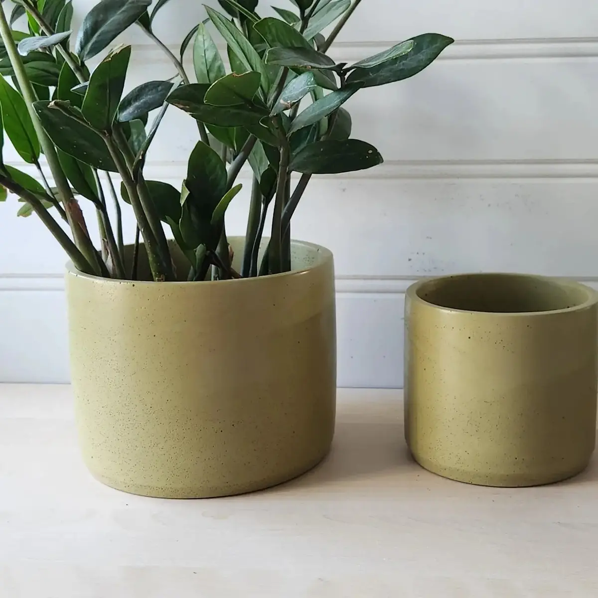 Cylinder Planter 7" Chartreuse 1