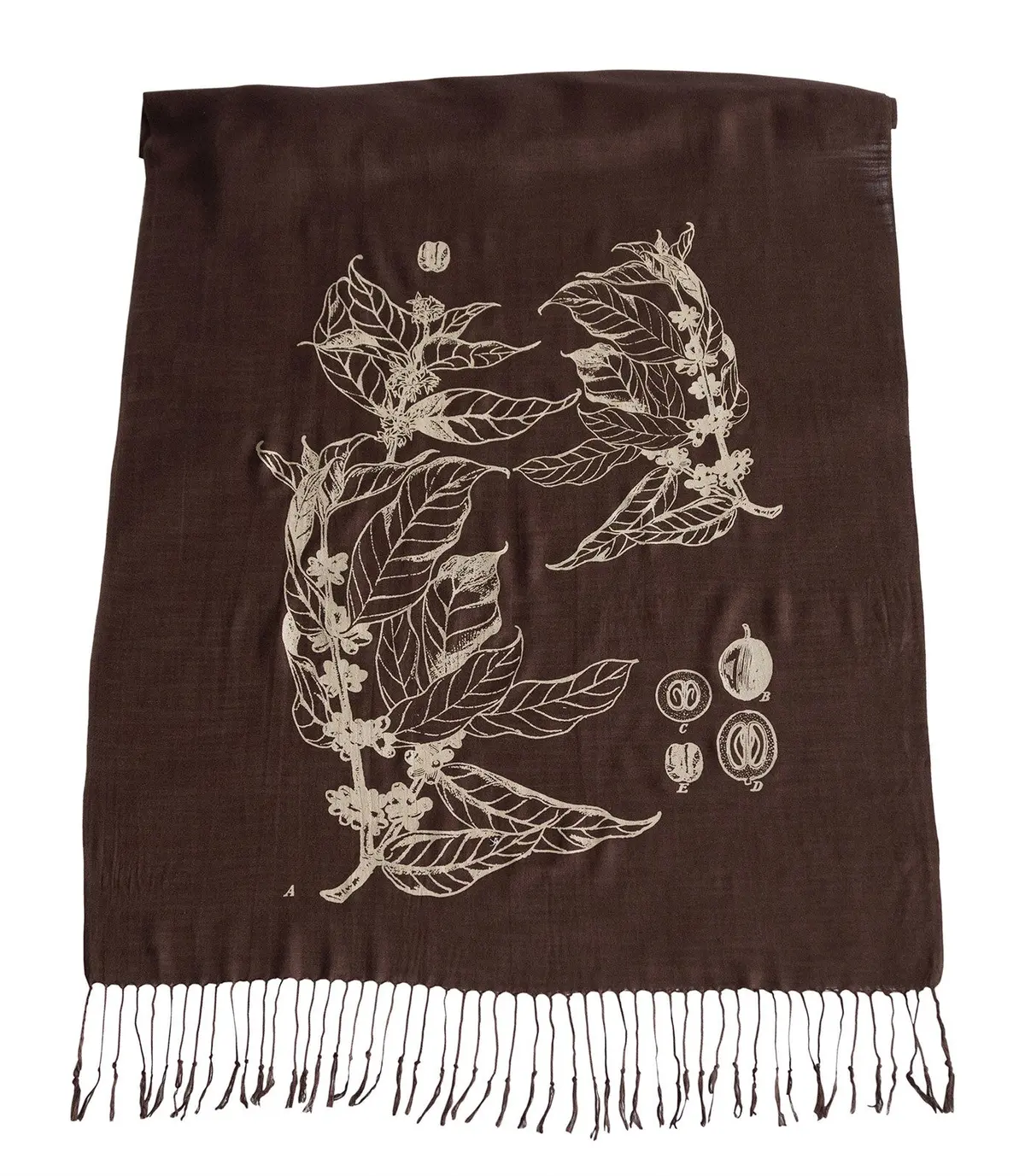 Coffee Bean Scarf. Botanical Print Linen Weave Pashmina 1