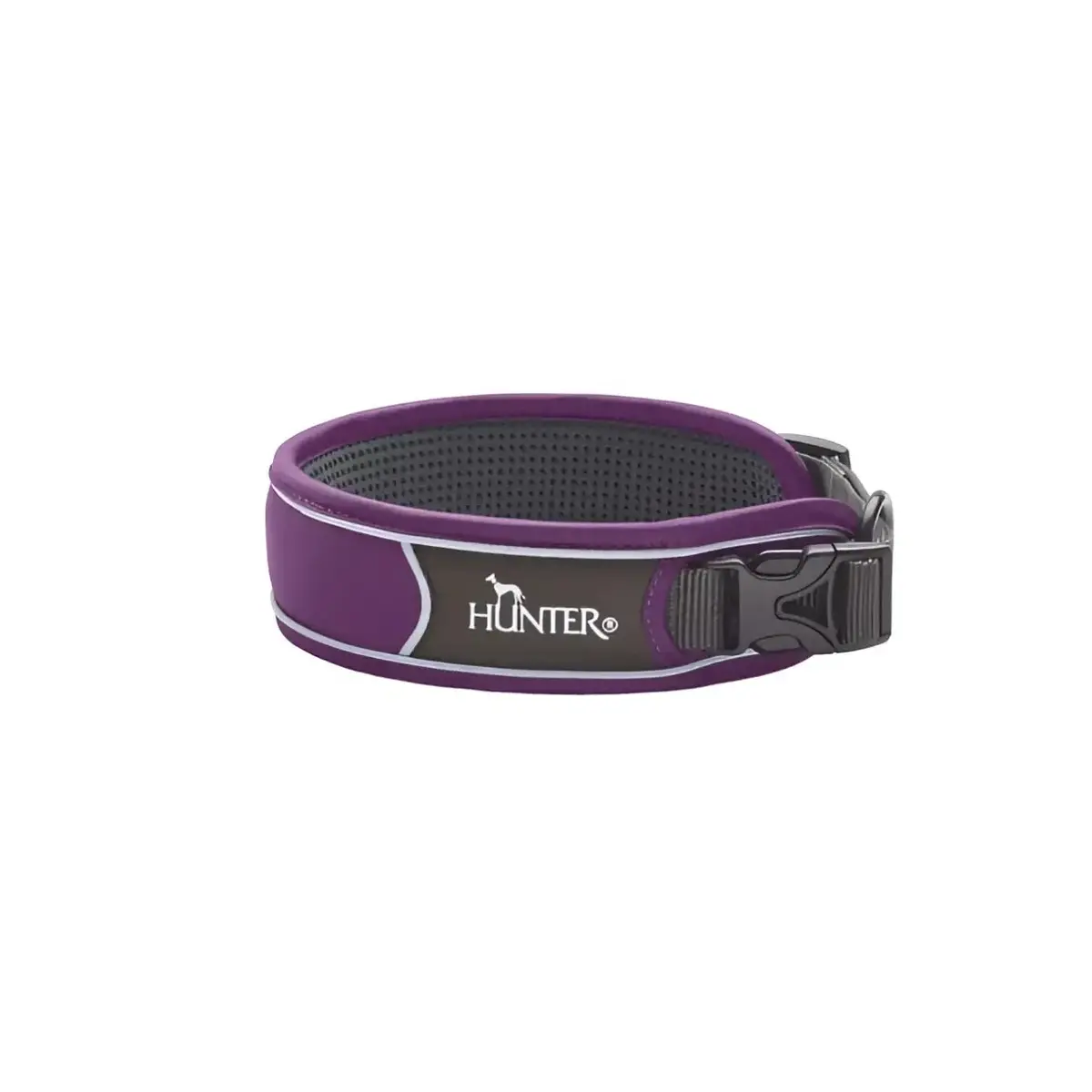 Collari Divo Viola E Grigio 1