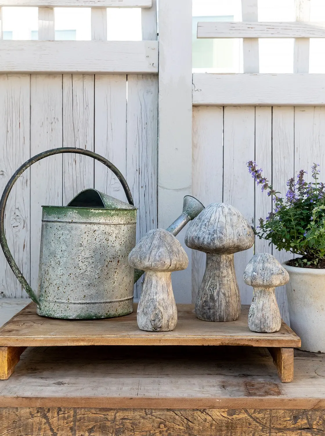 Concrete Mushrooms 2