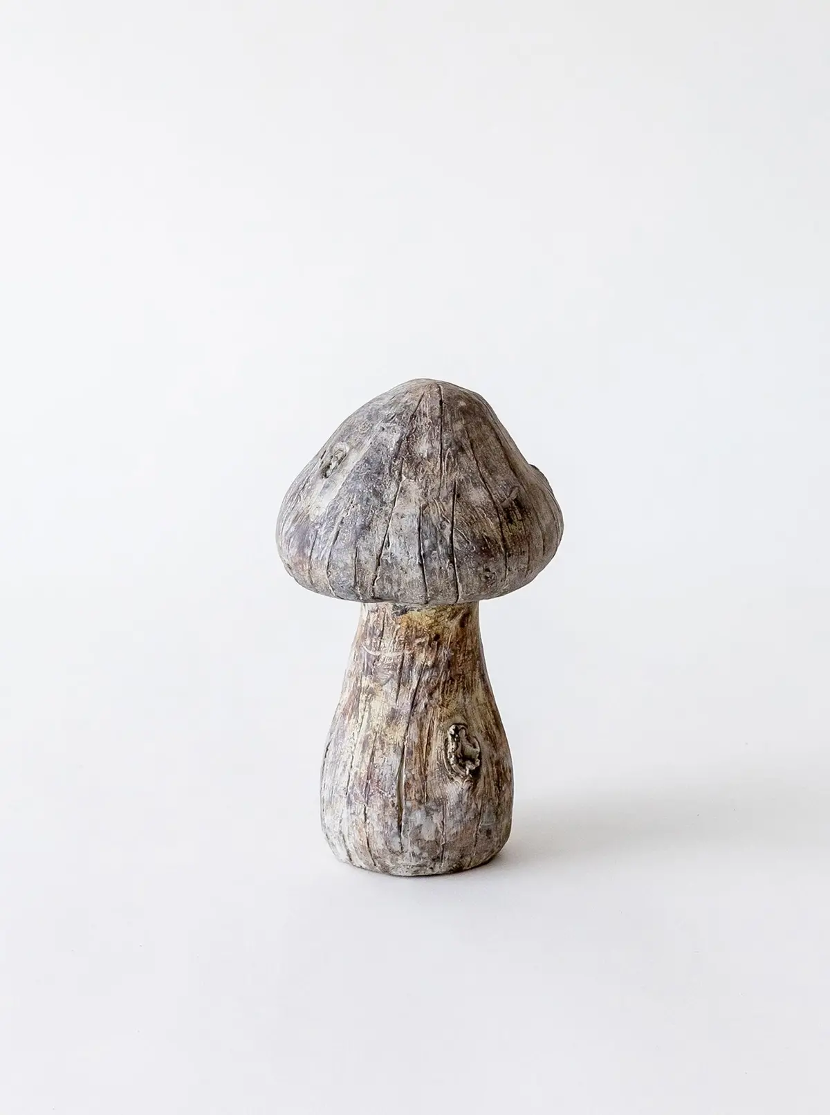 Concrete Mushrooms 4