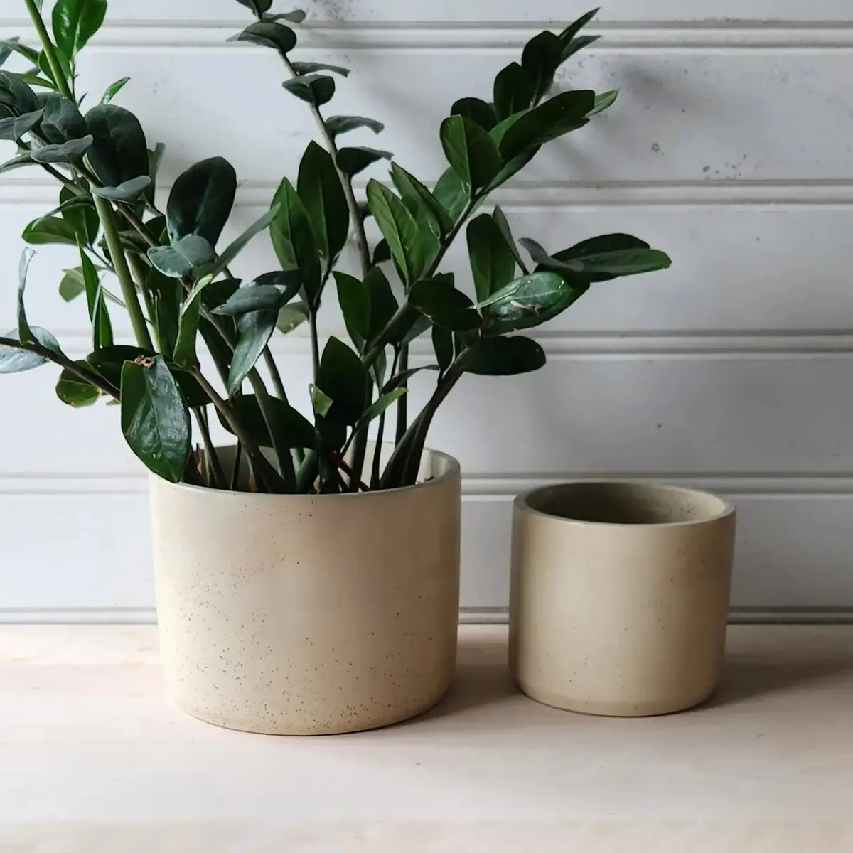 Cylinder Planter 7" Cream 1