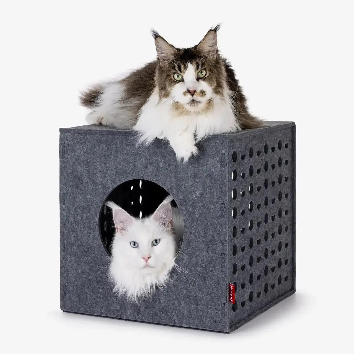 Hoopo Cube - Gioco In Feltro Per Gatti 1
