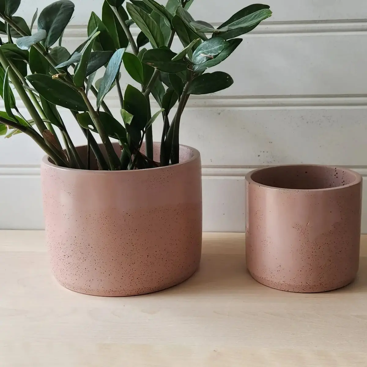 Cylinder Planter 5" Blush 1