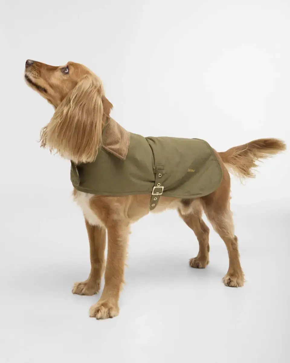 Barbour - Cappotto Per Cani Transport 2