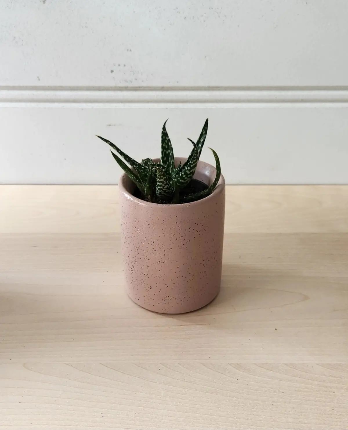 Cylinder Planter 3" Blush 1