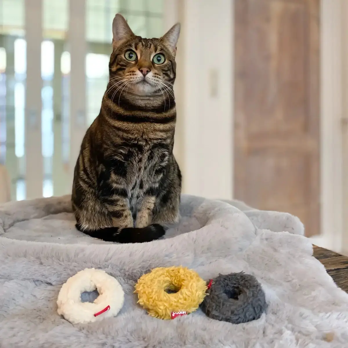 Hoopo Mini Donuts Giocattoli Per Gatti, Set Da 3 1