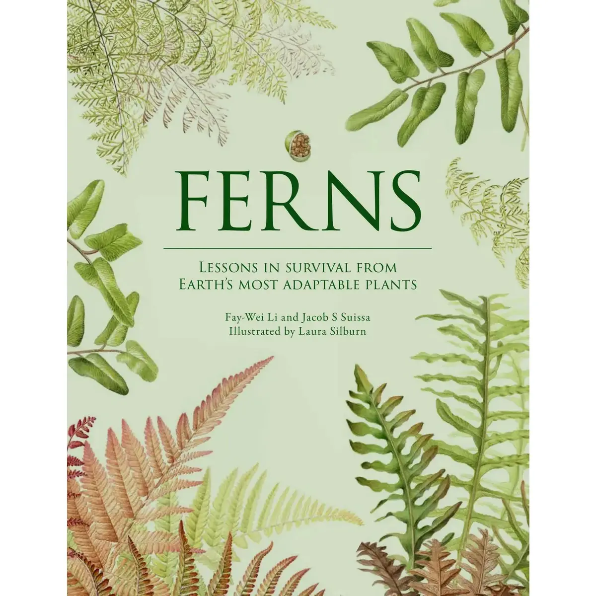 Ferns By Fay-Wei Li & Jacob S Suissa 1