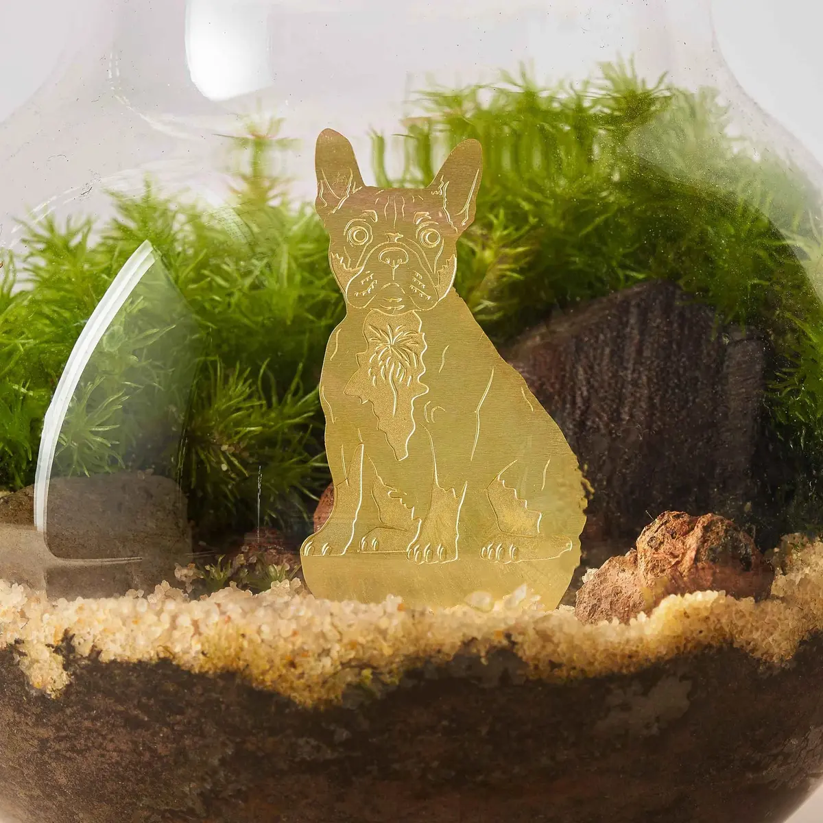 Plant Animal - Frenchie 1