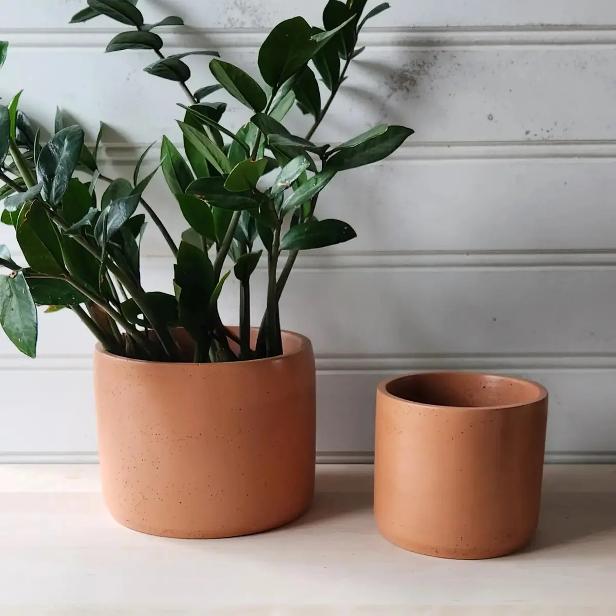 Cylinder Planter 7" Terracotta 1