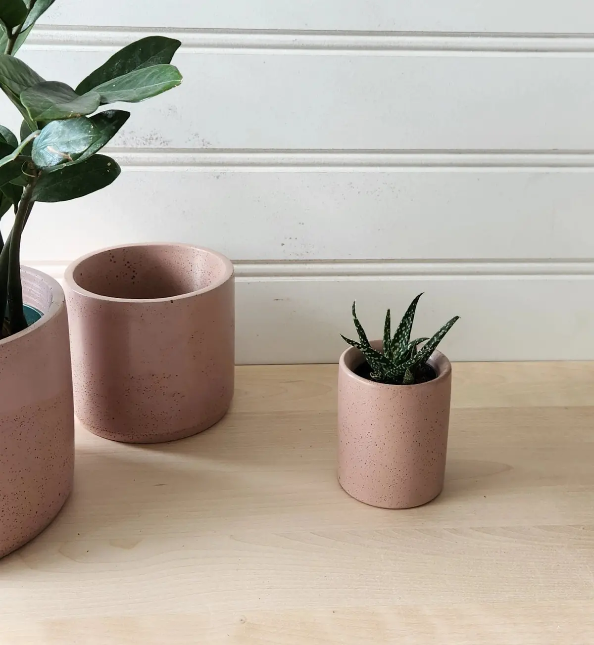 Cylinder Planter 3" Blush 2