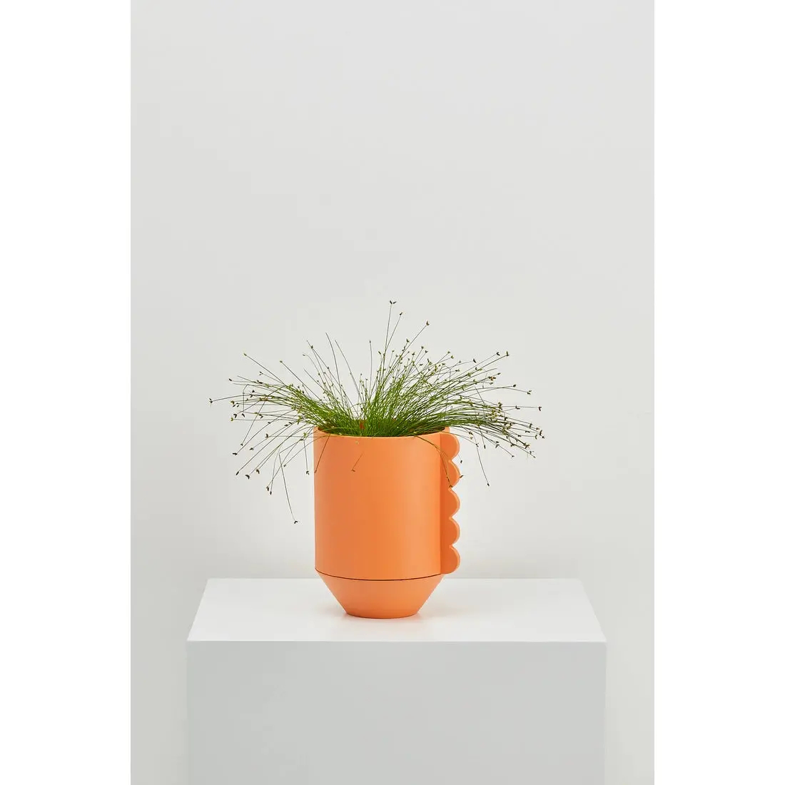 Capra Frill Planter-Desert 1