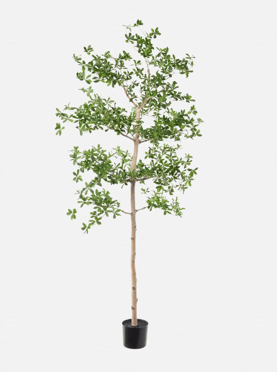 Faux Shady Lady Tree 1