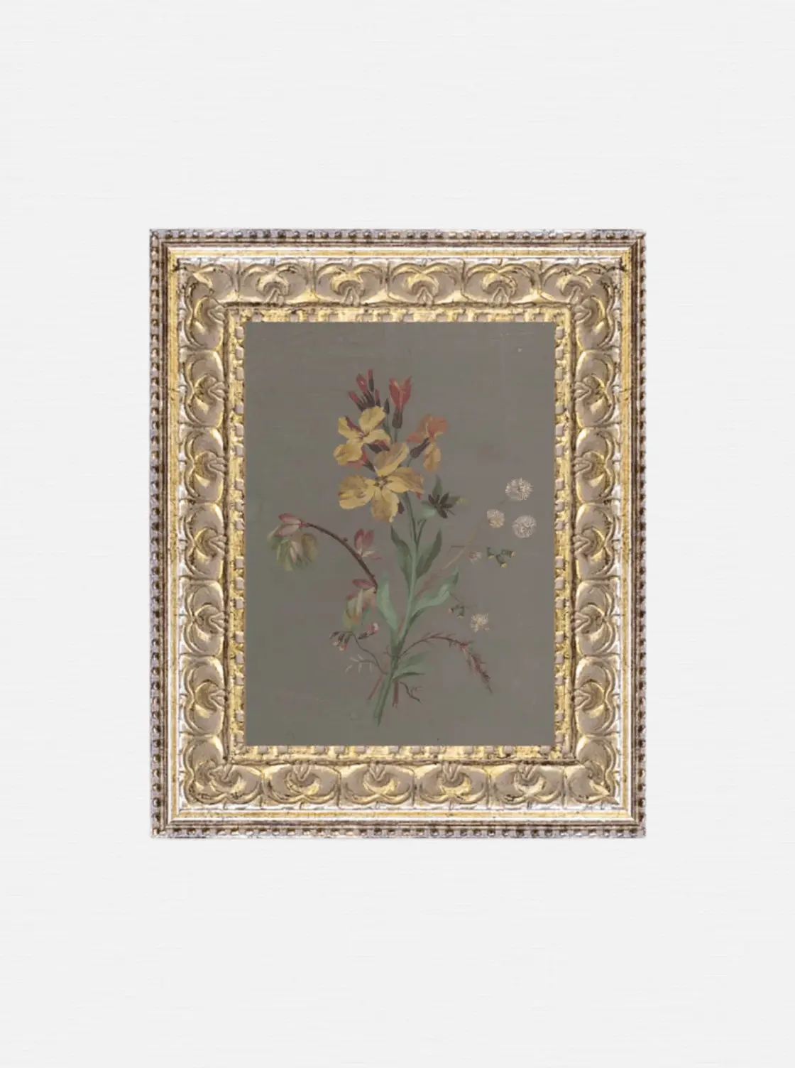 French Wildflowers 1