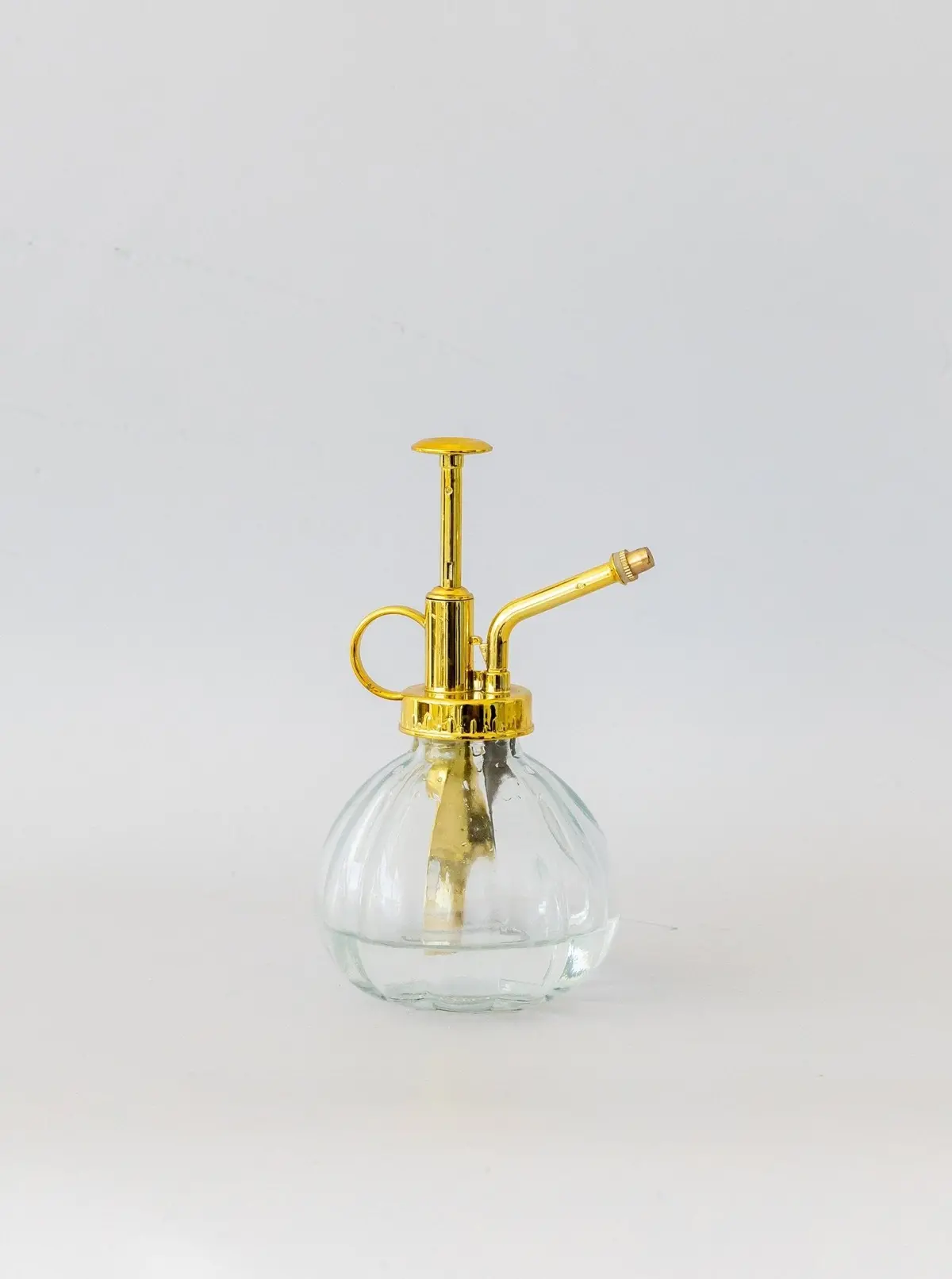 Glass Plant Mister 1