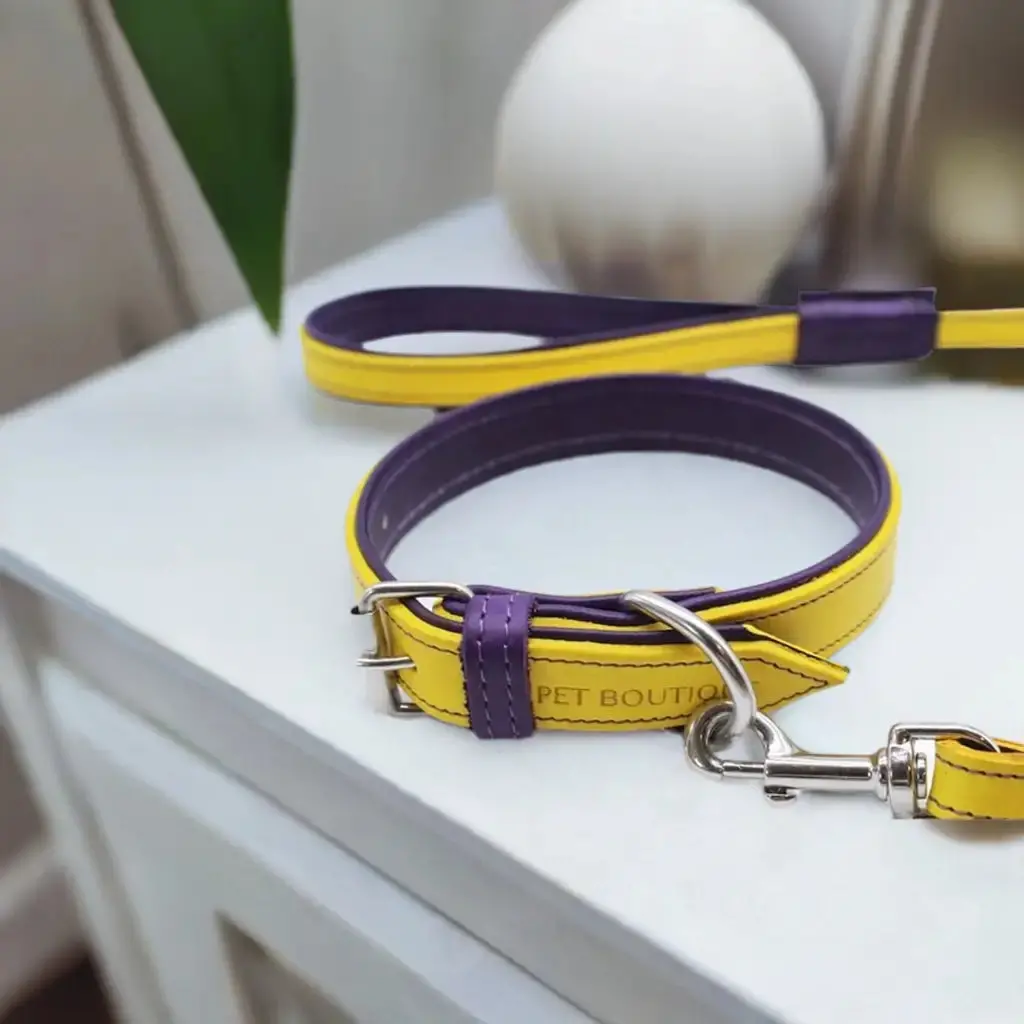 Jet Line Set In Pelle Giallo & Melanzana 1