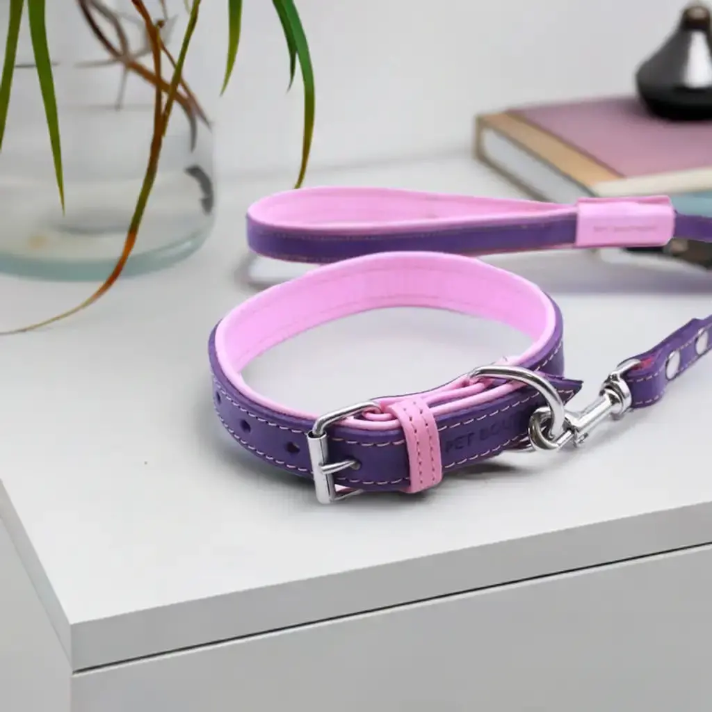 Jet Line Set In Pelle Melanzana & Rosa 1