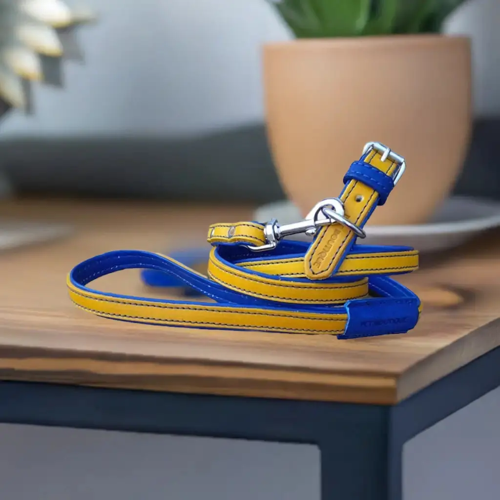 Jet Line Set In Pelle Senape & Blu Elettrico 1