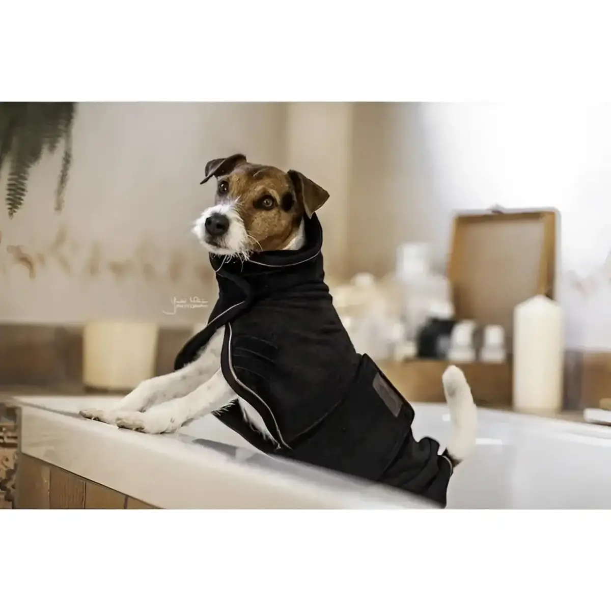 Kentucky - Accappatoio Per Cani 2