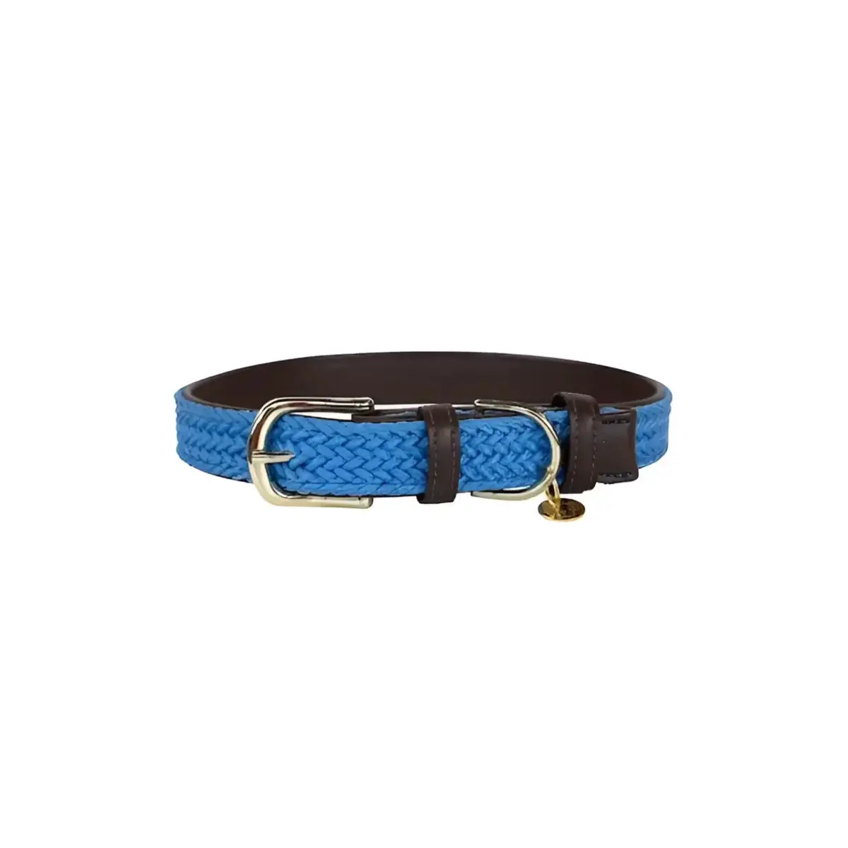 Kentucky - Collare Per Cani In Nylon Intrecciato Azzurro 1