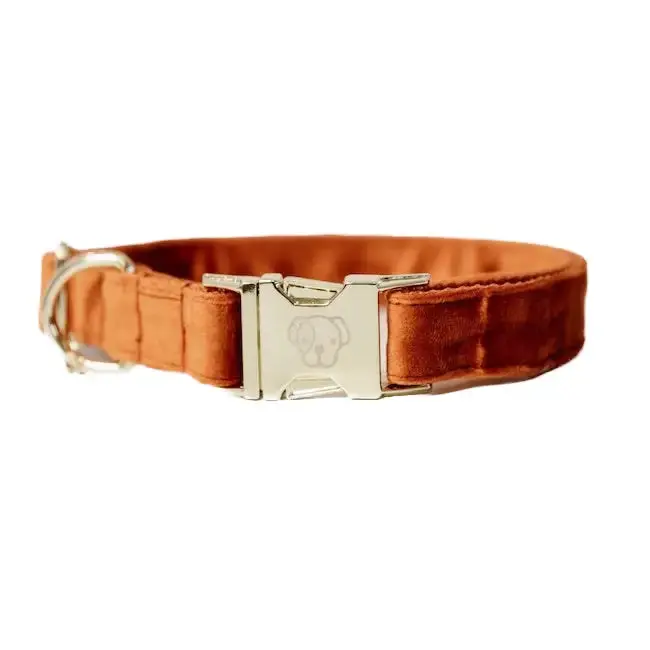 Kentucky - Collare Per Cani Velvet Arancione 1