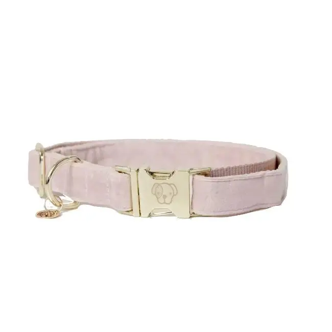 Kentucky - Collare Per Cani Velvet Rosa Antico 1