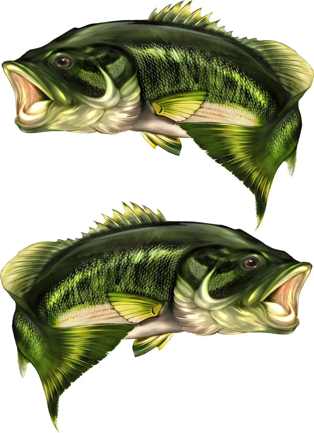 Green Largemouth Bass Decal – Fish Vinyl Graphics For Boats 3