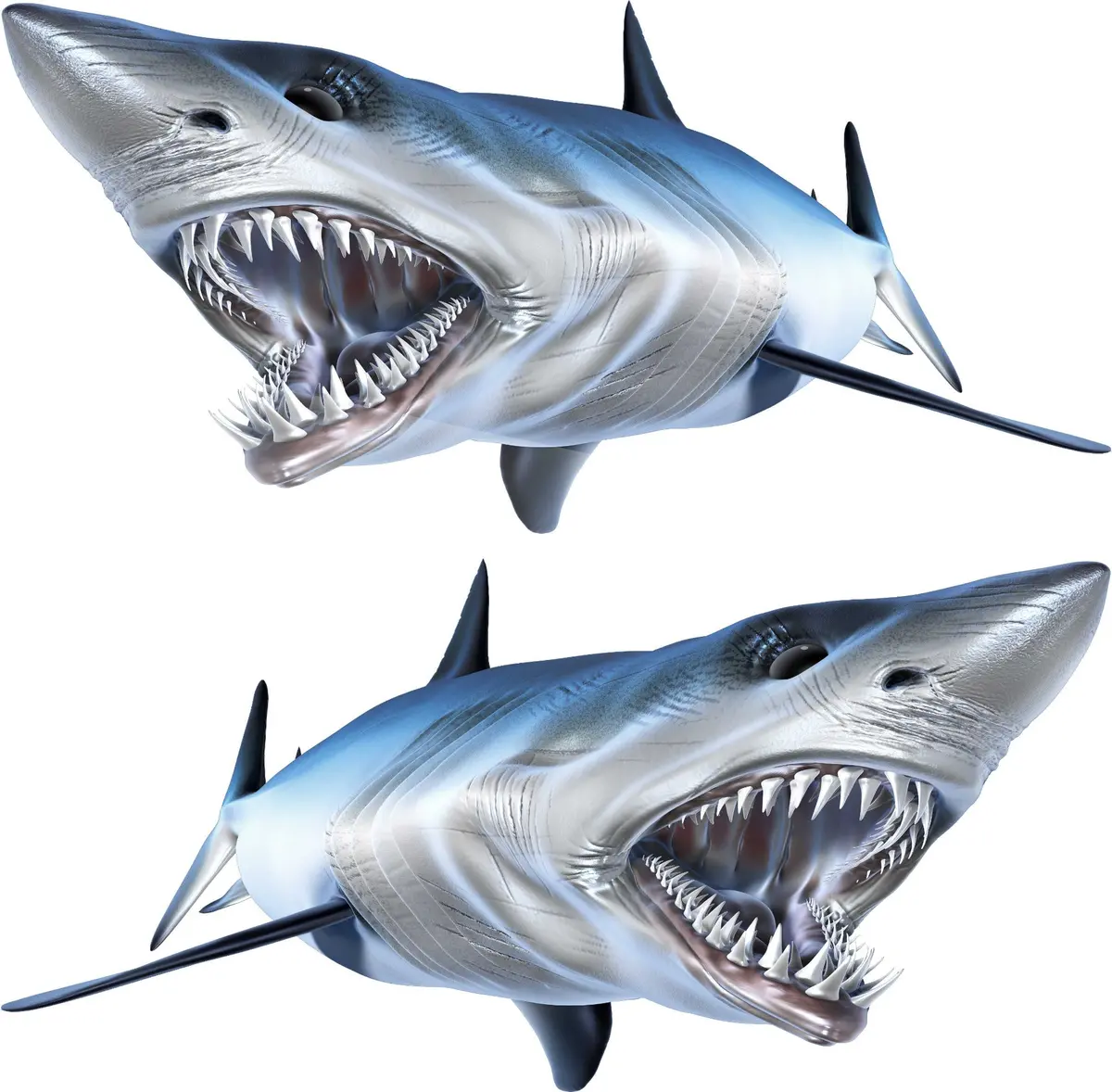 Mako Shark Boat Decal – Aggressive Shark Mouth Bow Graphic 4