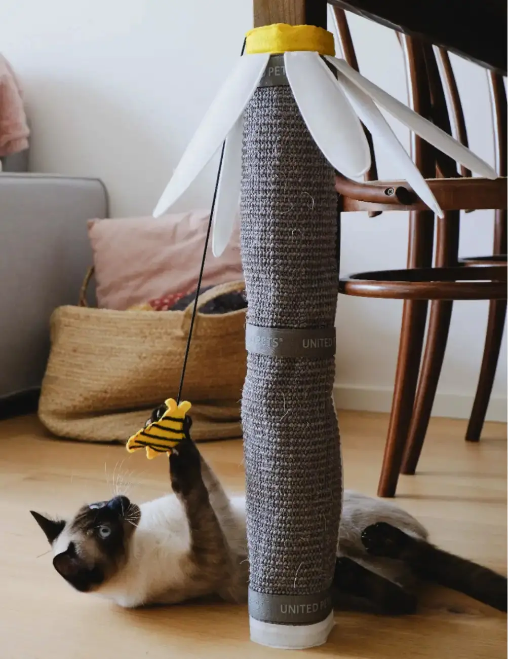 United Pets - Margareth 2