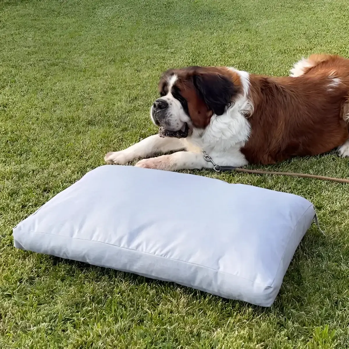 Materassino Dog Bed Easy Way 1