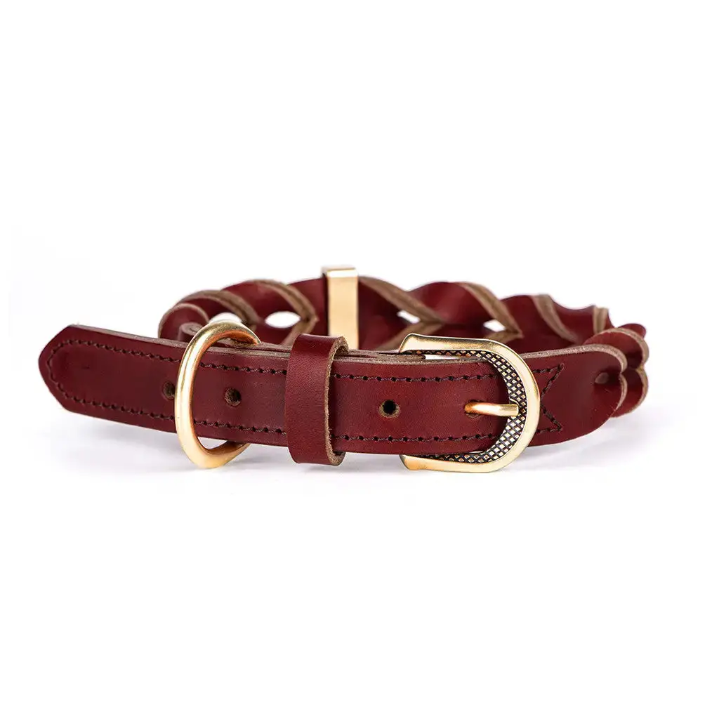 My Family - Collare Ascot 1