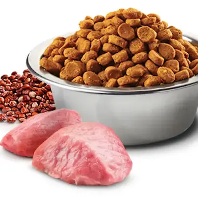 Farmina Cat N&D Quinoa Weight Management 2