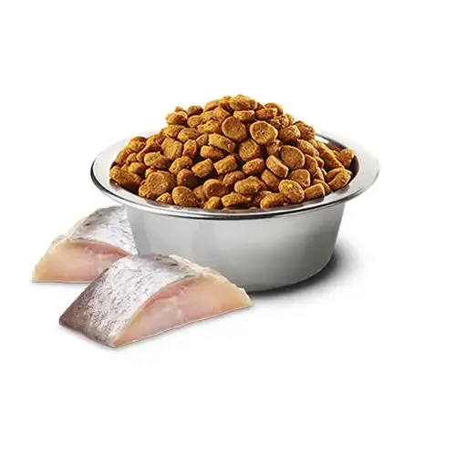 Farmina Cat N&D Spirulina Kitten Aringa E Bacche Di Goji 2