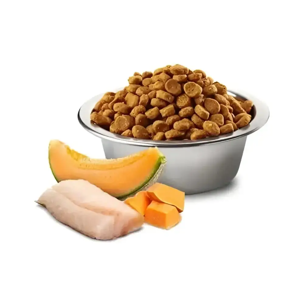 Farmina Dog N&D Ocean Merluzzo, Zucca E Melone Puppy Mini 2