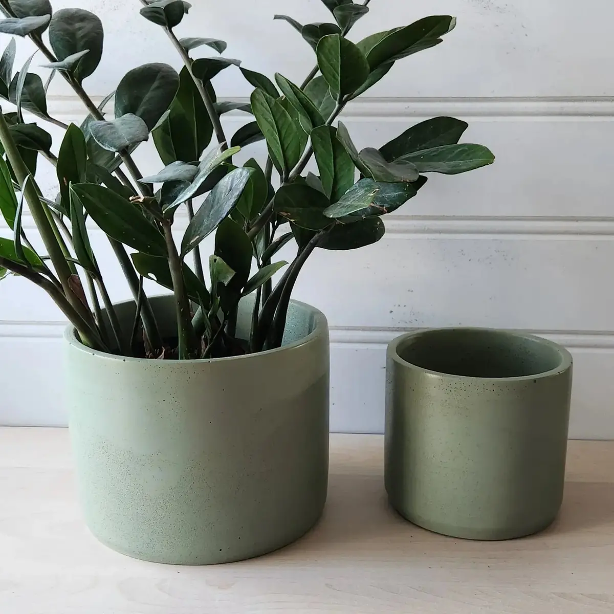 Cylinder Planter 5" Olive 1
