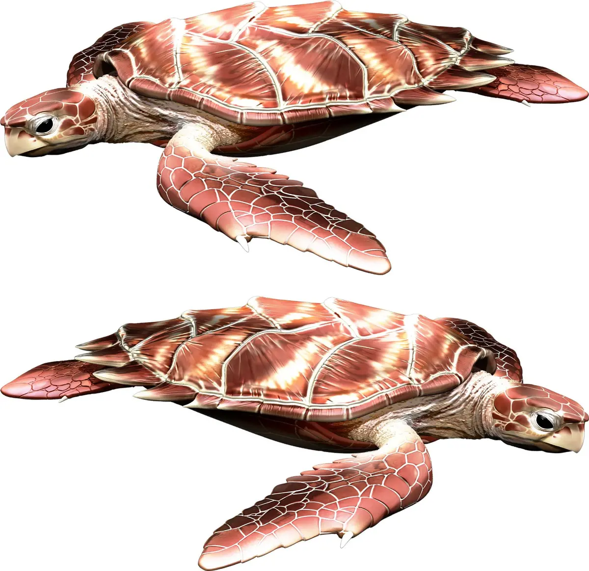 Sea Turtle Boat Decal – Set Of 2 For Boats & Watercraft 3