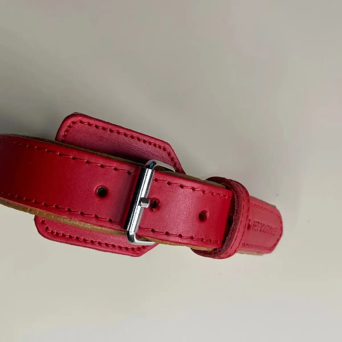 Pet Boutique - Collare Linea Miami 4