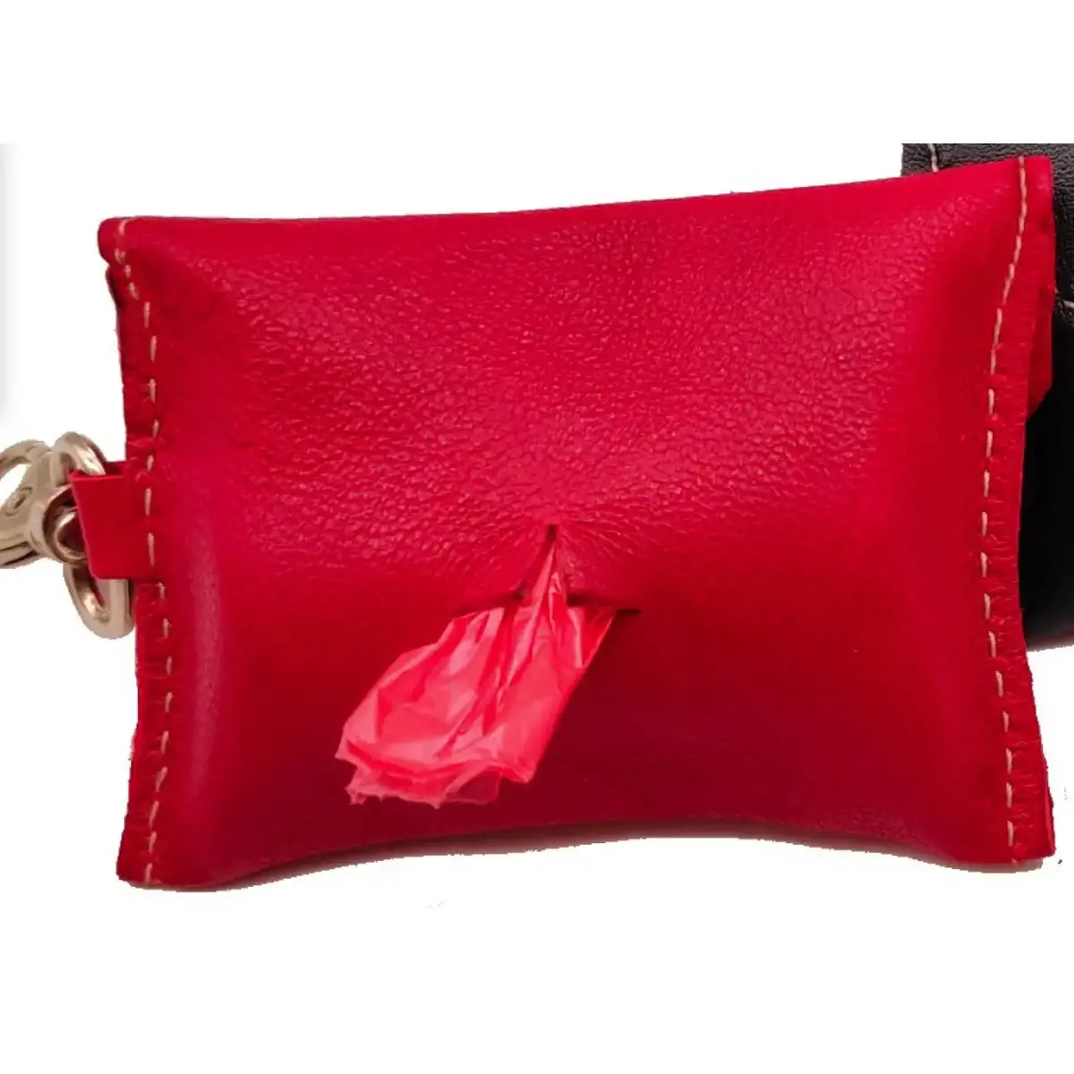 Pet Boutique - Pet Pochette 3