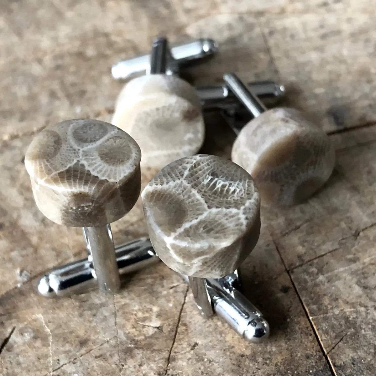 Petoskey Stone Cufflinks, Fossil Coral Cufflinks 1