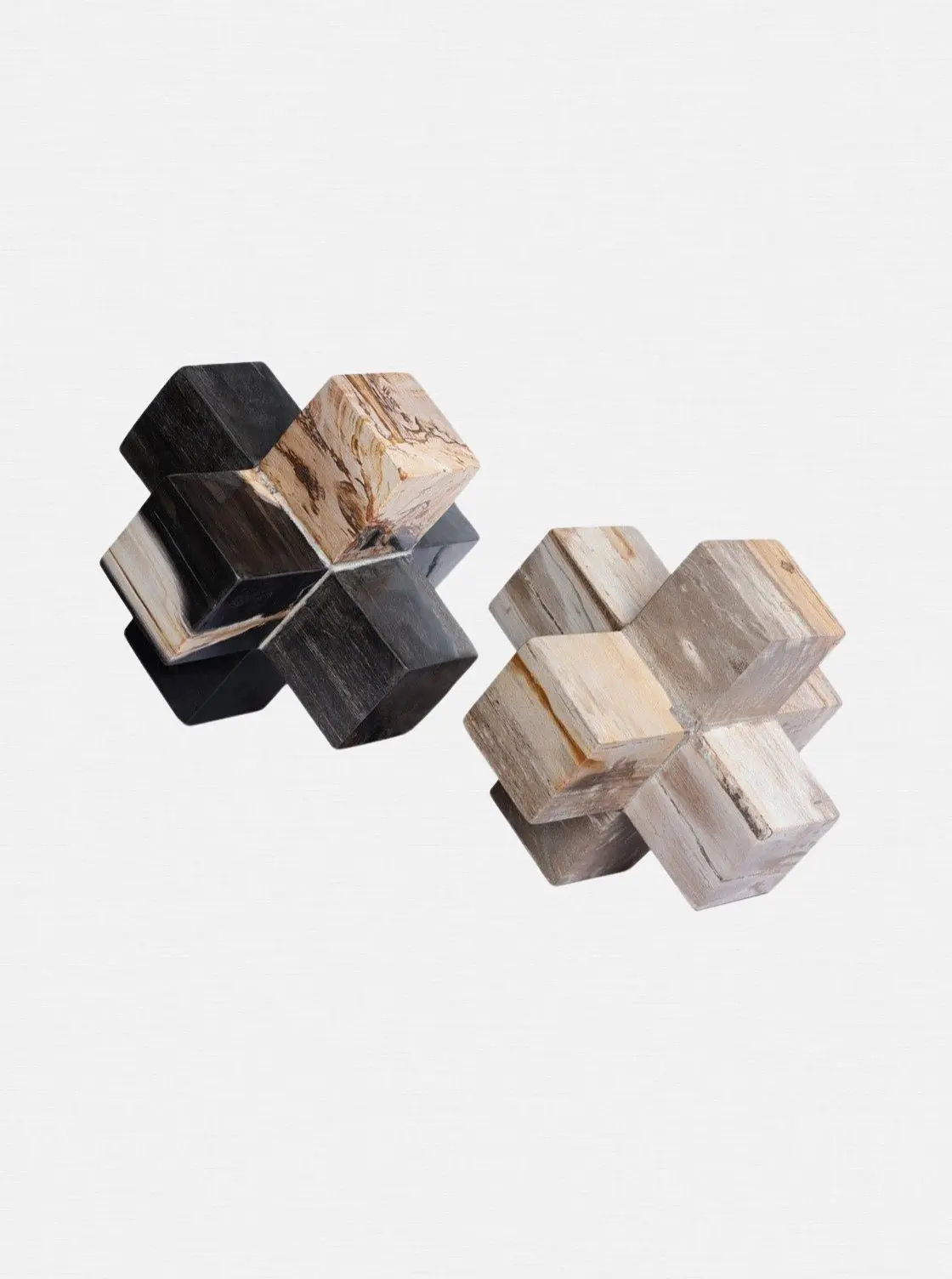 Petrified Wood Jack 1