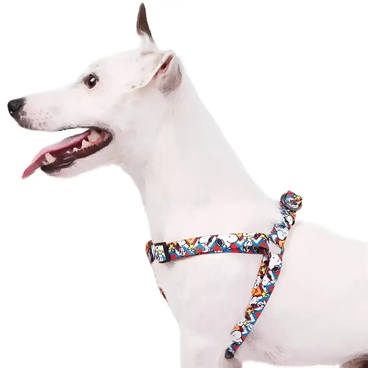 Pettorine Charlie Brown Zig Zag 3