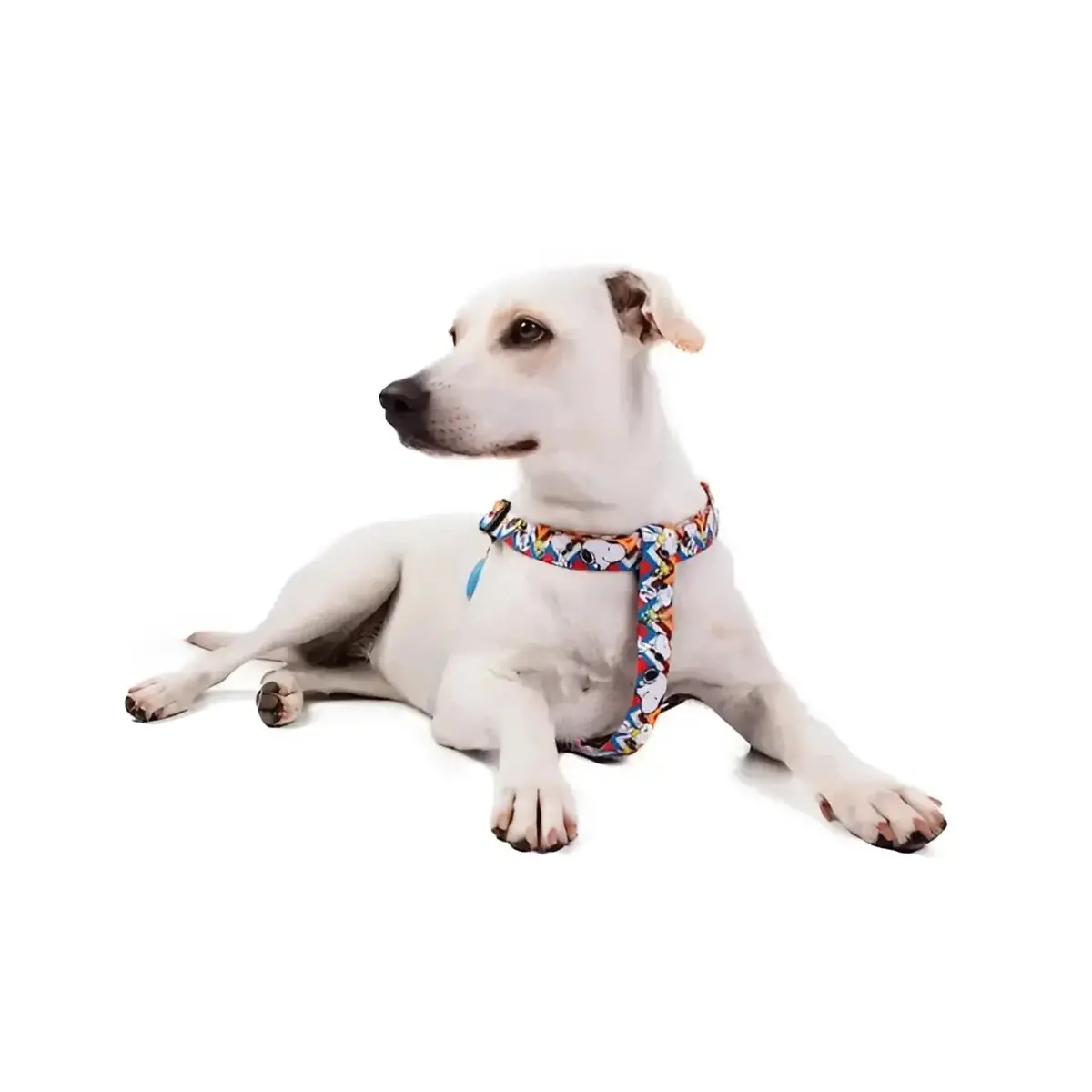 Pettorine Charlie Brown Zig Zag 2