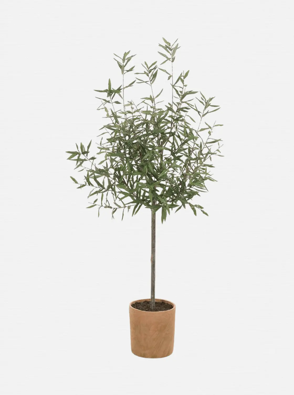 Potted 70" Faux Olive Tree 1