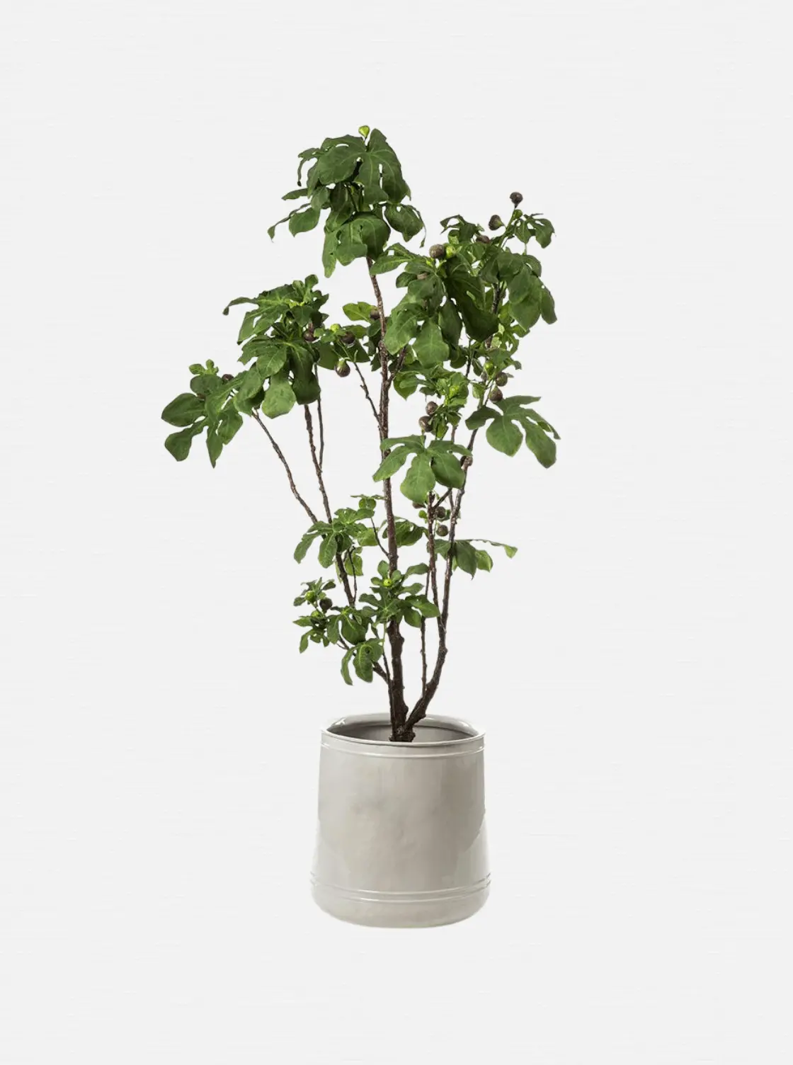 Potted 93" Faux Fig Tree 1