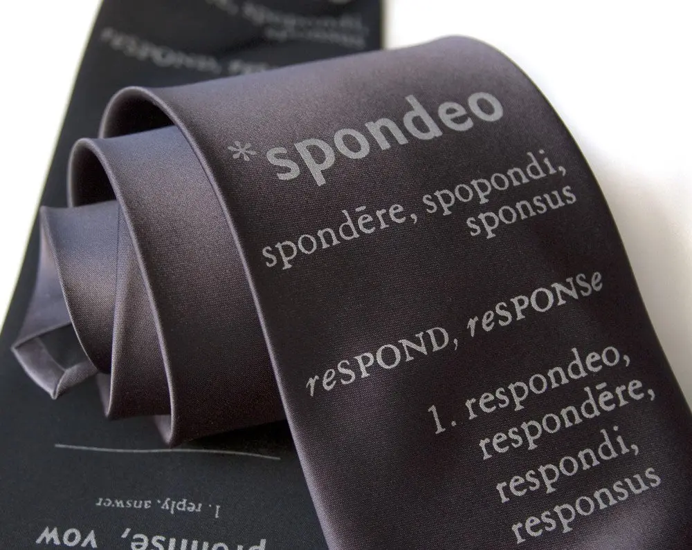 Spondeo: Vow Microfiber Necktie 1