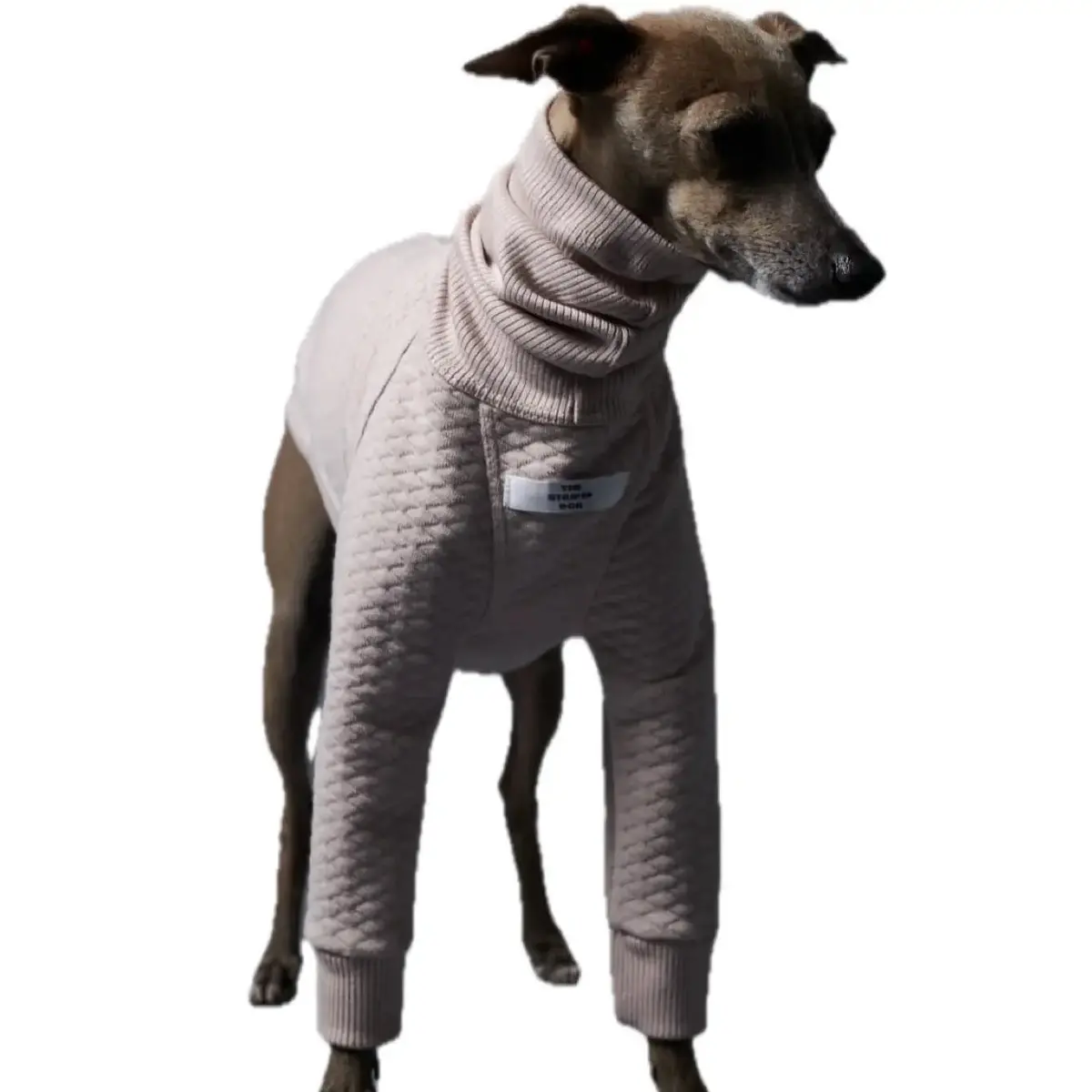 The Striped Dog - California 1
