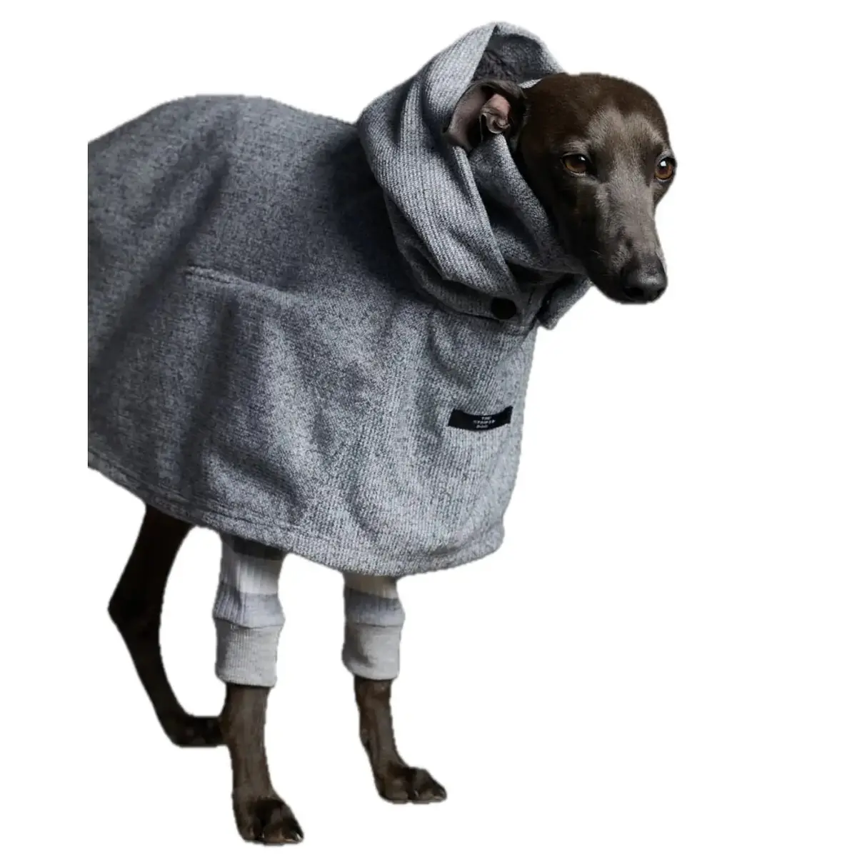 The Striped Dog - Downey 1