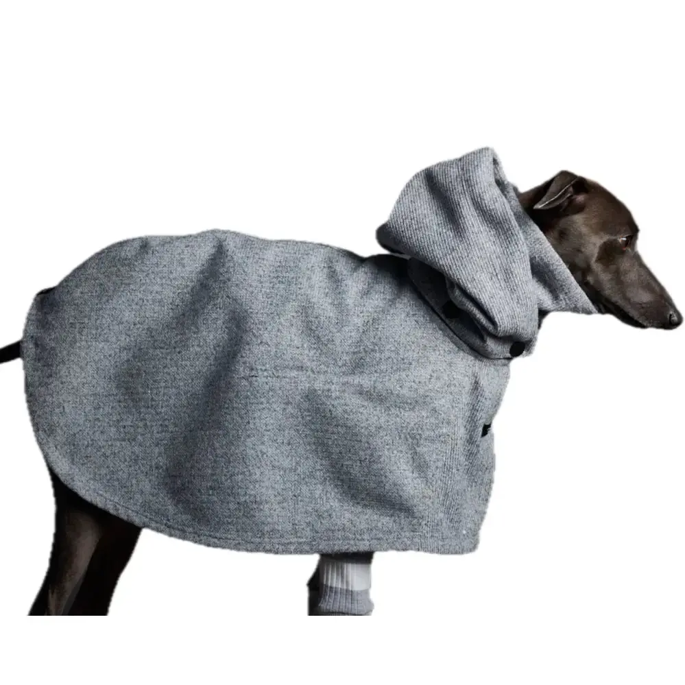 The Striped Dog - Downey 3